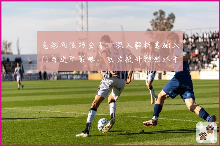 竞彩网技巧分享：深入解析基础入门与进阶策略，助力提升预测水平